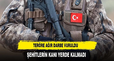 Şehitlerin kanı yerde kalmadı! 1'i kırmızı 3'ü turuncu listedeki 5 terörist öldürüldü