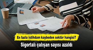 Sigortalı çalışan sayısı bir yılda yüzde 1,5 azaldı
