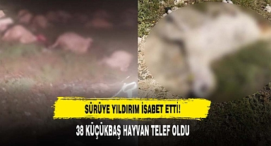 Sürüye Yıldırım İsabet Etti: 38 Küçükbaş Hayvan Telef Oldu!