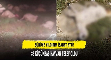 Sürüye Yıldırım İsabet Etti: 38 Küçükbaş Hayvan Telef Oldu!