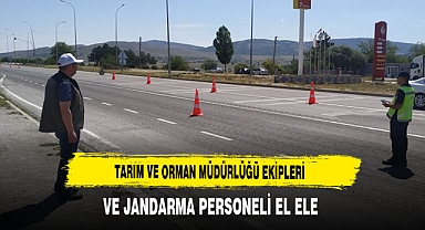 Tarım ve Orman Müdürlüğü Ekipleri Ve Jandarma Personeli El Ele