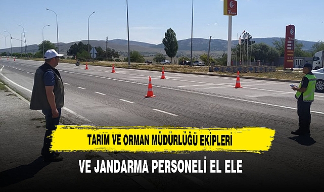 Tarım ve Orman Müdürlüğü Ekipleri Ve Jandarma Personeli El Ele