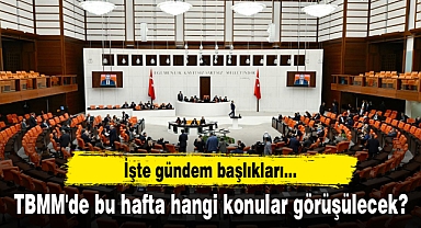 TBMM'de bu hafta hangi konular görüşülecek? İşte gündem başlıkları...