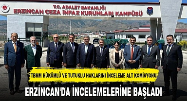 TBMM HÜKÜMLÜ VE TUTUKLU HAKLARINI İNCELEME ALT KOMİSYONU ERZİNCAN'DA İNCELEMELERİNE BAŞLADI