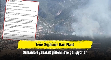Terör Örgütünün Hain Planı! Ormanları yakarak gizlenmeye çalışıyorlar