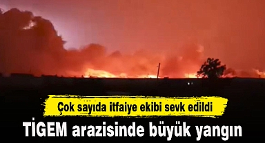 TİGEM arazisinde büyük yangın