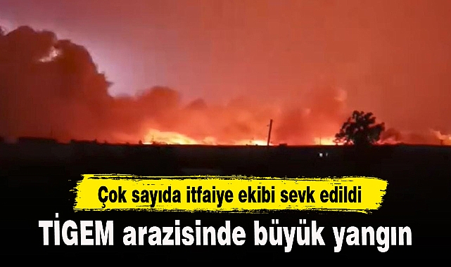 TİGEM arazisinde büyük yangın