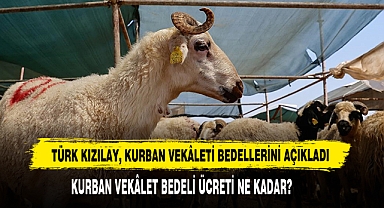 Türk Kızılay, Kurban Vekâleti Bedellerini Açıkladı