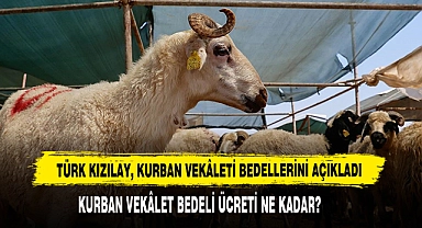Türk Kızılay, Kurban Vekâleti Bedellerini Açıkladı