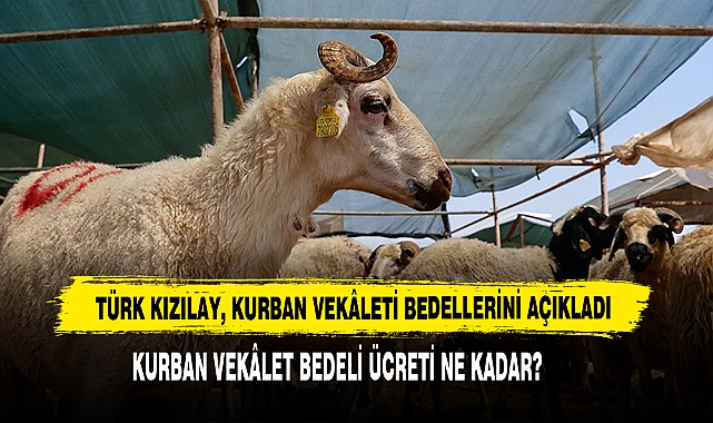 Türk Kızılay, Kurban Vekâleti Bedellerini Açıkladı