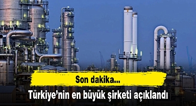 Türkiye'nin bir numaralı şirketi açıklandı