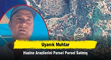 Uyanık Muhtar: Hazine Arazilerini Parsel Parsel Satmış