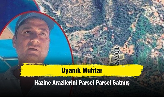 Uyanık Muhtar: Hazine Arazilerini Parsel Parsel Satmış