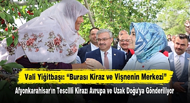 Vali Yiğitbaşı: