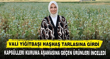 VALİ YİĞİTBAŞI HAŞHAŞ TARLASINA GİRDİ