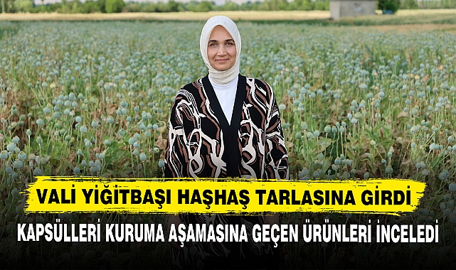 VALİ YİĞİTBAŞI HAŞHAŞ TARLASINA GİRDİ
