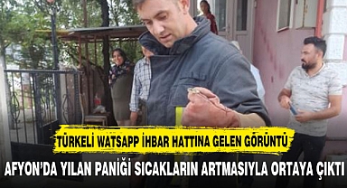 YILAN PANİĞİNİ TÜRKELİ İLE PAYLAŞTILAR