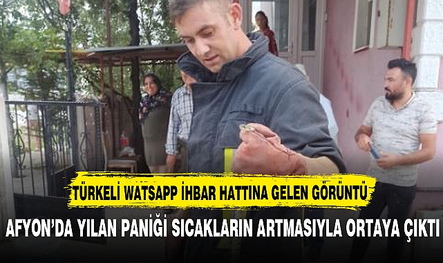 YILAN PANİĞİNİ TÜRKELİ İLE PAYLAŞTILAR