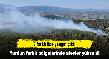 Yurdun farklı bölgelerinde alevler yükseldi