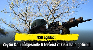 Zeytin Dalı bölgesinde 6 terörist etkisiz hale getirildi