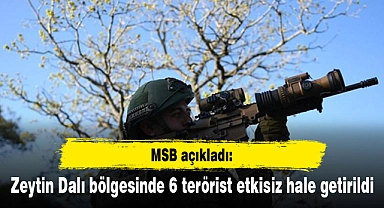 Zeytin Dalı bölgesinde 6 terörist etkisiz hale getirildi