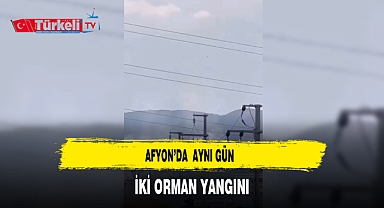 Afyon'da Aynı Gün İki Orman Yangını