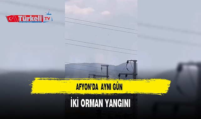 Afyon'da Aynı Gün İki Orman Yangını