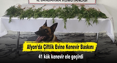 Afyon’da Çiftlik Evine Kenevir Baskını