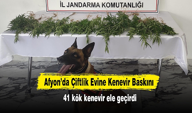Afyon’da Çiftlik Evine Kenevir Baskını