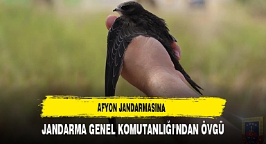 Afyon Jandarmasına Jandarma Genel Komutanlığı'ndan Övgü