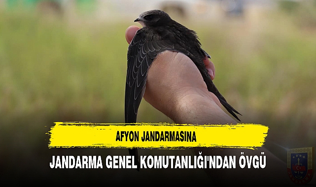 Afyon Jandarmasına Jandarma Genel Komutanlığı'ndan Övgü