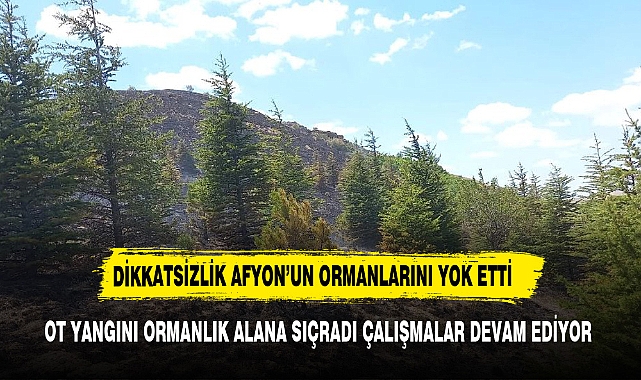 Afyonkarahisar Balmahmut Köyü’nde Ot Yangını Ormanlık Alana Sıçradı