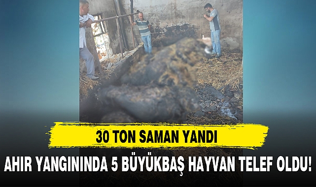 AHIR YANGININDA 5 BÜYÜKBAŞ HAYVAN TELEF OLDU!