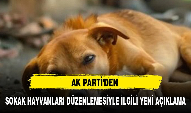 AK PARTİ'DEN SOKAK HAYVANLARI DÜZENLEMESİYLE İLGİLİ YENİ AÇIKLAMA