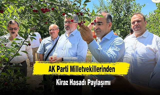 AK Parti Milletvekillerinden Kiraz Hasadı Paylaşımı