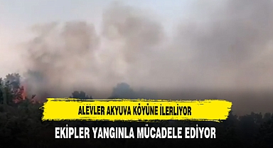 Alevler Akyuva Köyüne İlerliyor Ekipler Yangınla Mücadele Ediyor