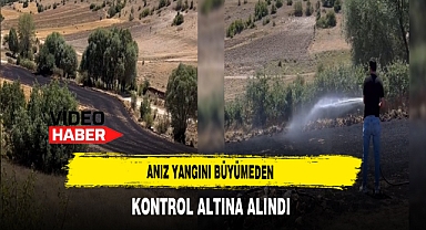 Anız Yangını Büyümeden Kontrol Altına Alındı