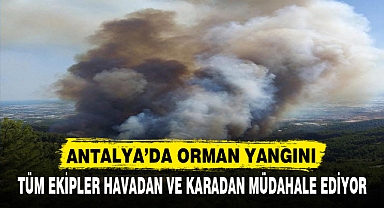 ANTALYA’DA ORMAN YANGINI