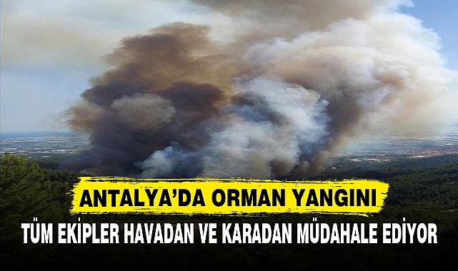 ANTALYA’DA ORMAN YANGINI