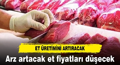 Arz artacak et fiyatları düşecek