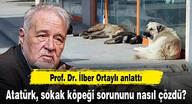 Atatürk, sokak köpeği sorununu nasıl çözdü? Prof. Dr. İlber Ortaylı anlattı