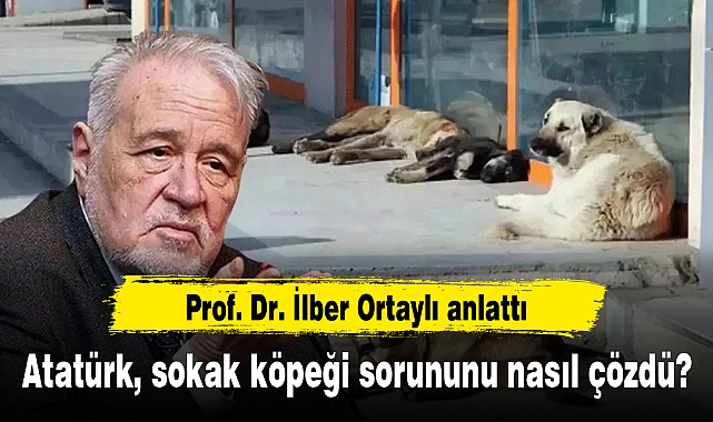 Atatürk, sokak köpeği sorununu nasıl çözdü? Prof. Dr. İlber Ortaylı anlattı