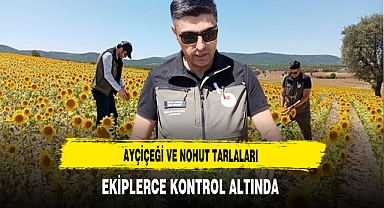 Ayçiçeği ve Nohut Tarlaları Ekiplerce Kontrol Altında