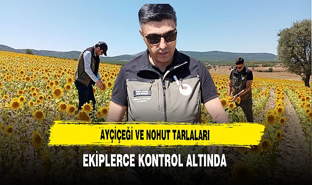 Ayçiçeği ve Nohut Tarlaları Ekiplerce Kontrol Altında