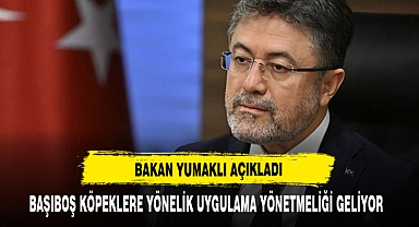 BAŞIBOŞ KÖPEKLERE YÖNELİK UYGULAMA YÖNETMELİĞİ GELİYOR