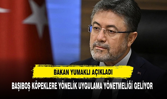 BAŞIBOŞ KÖPEKLERE YÖNELİK UYGULAMA YÖNETMELİĞİ GELİYOR