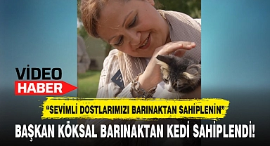 BAŞKAN KÖKSAL BARINAKTAN KEDİ SAHİPLENDİ!