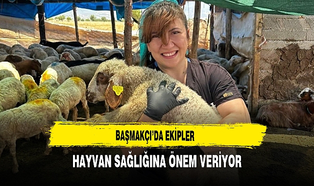 Başmakçı'da Ekipler Hayvan Sağlığına Önem Veriyor