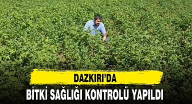 BİTKİ SAĞLIĞI KONTROLÜ YAPILDI