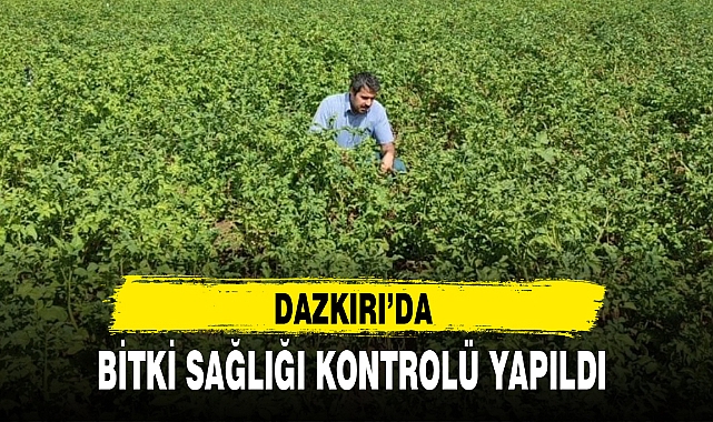 BİTKİ SAĞLIĞI KONTROLÜ YAPILDI